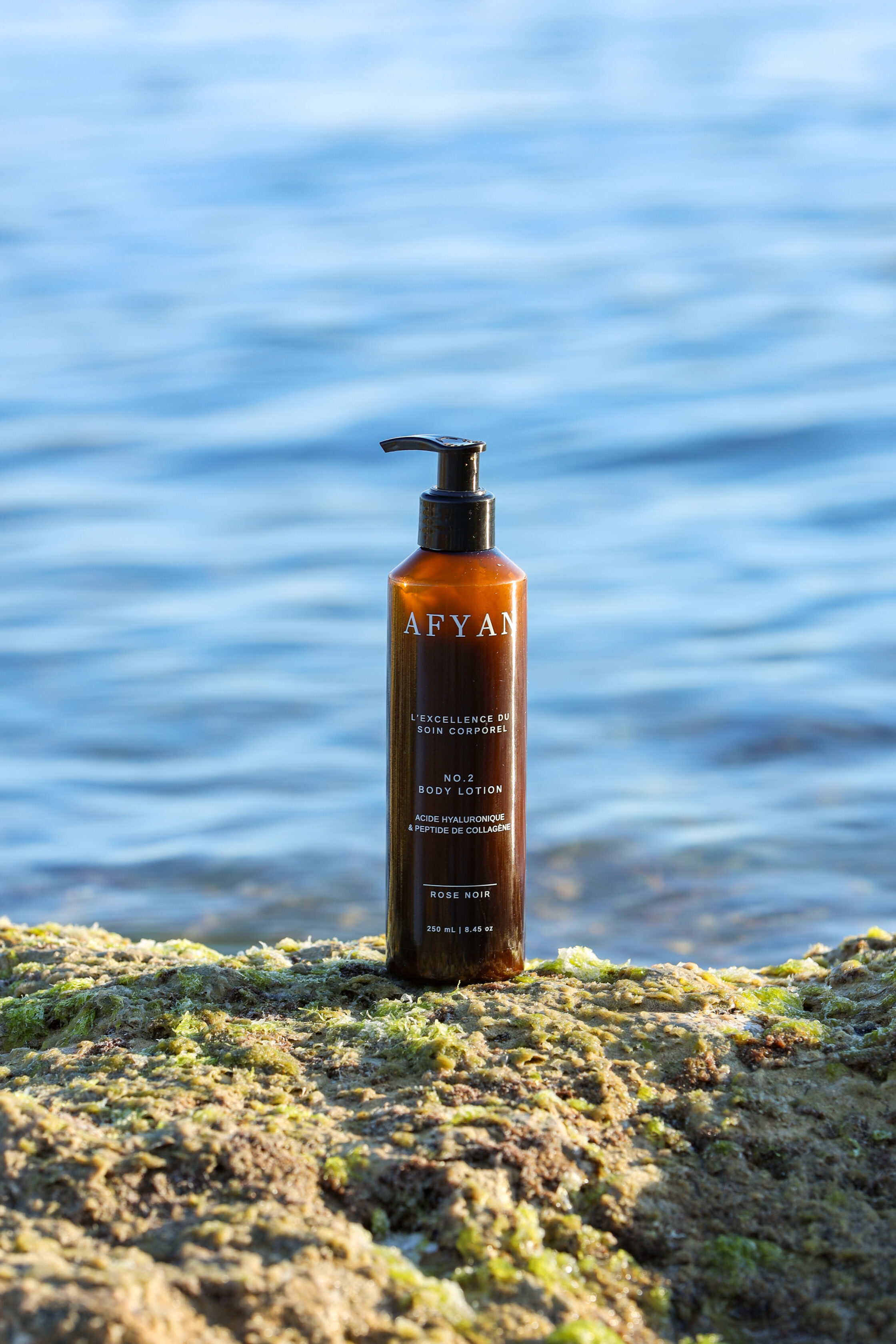 Body Lotion